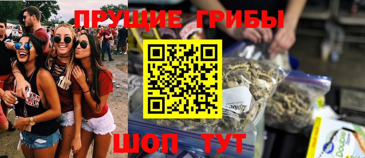 Псилоцибиновые грибы GOLDEN TEACHER Будённовск