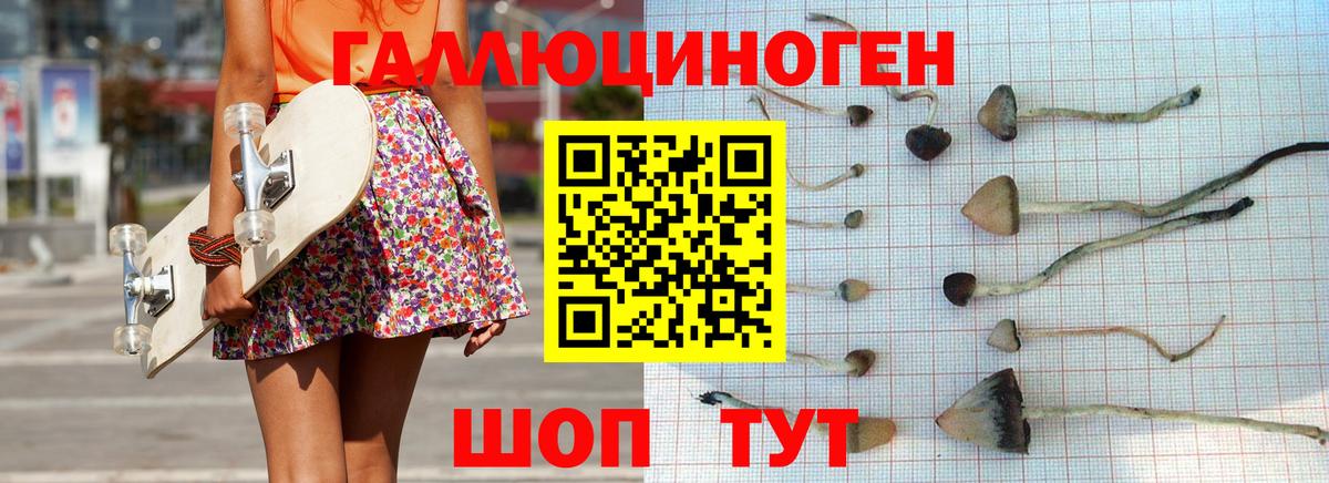 Псилоцибиновые грибы Magic Shrooms  Вход с VPN  Будённовск 