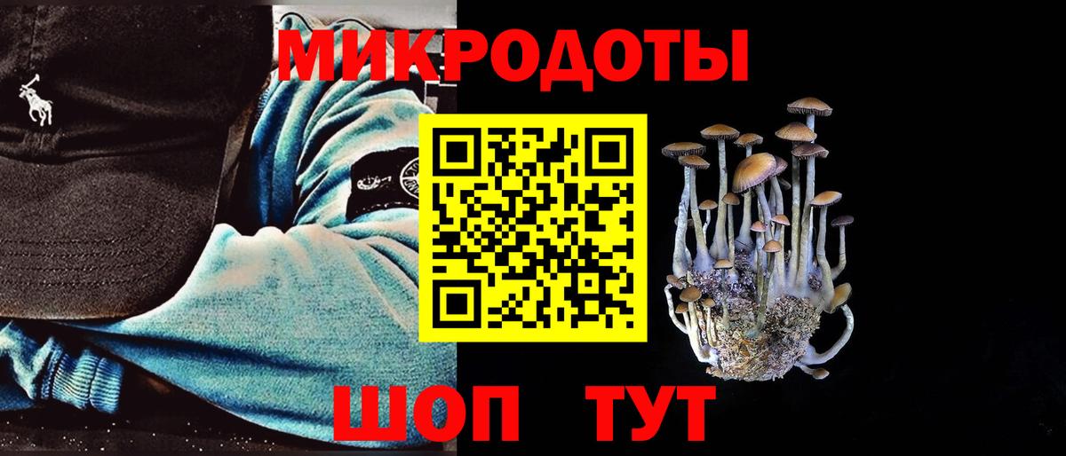 Галлюциногенные грибы Magic Shrooms  Галлюциногенные грибы GOLDEN TEACHER  Будённовск 